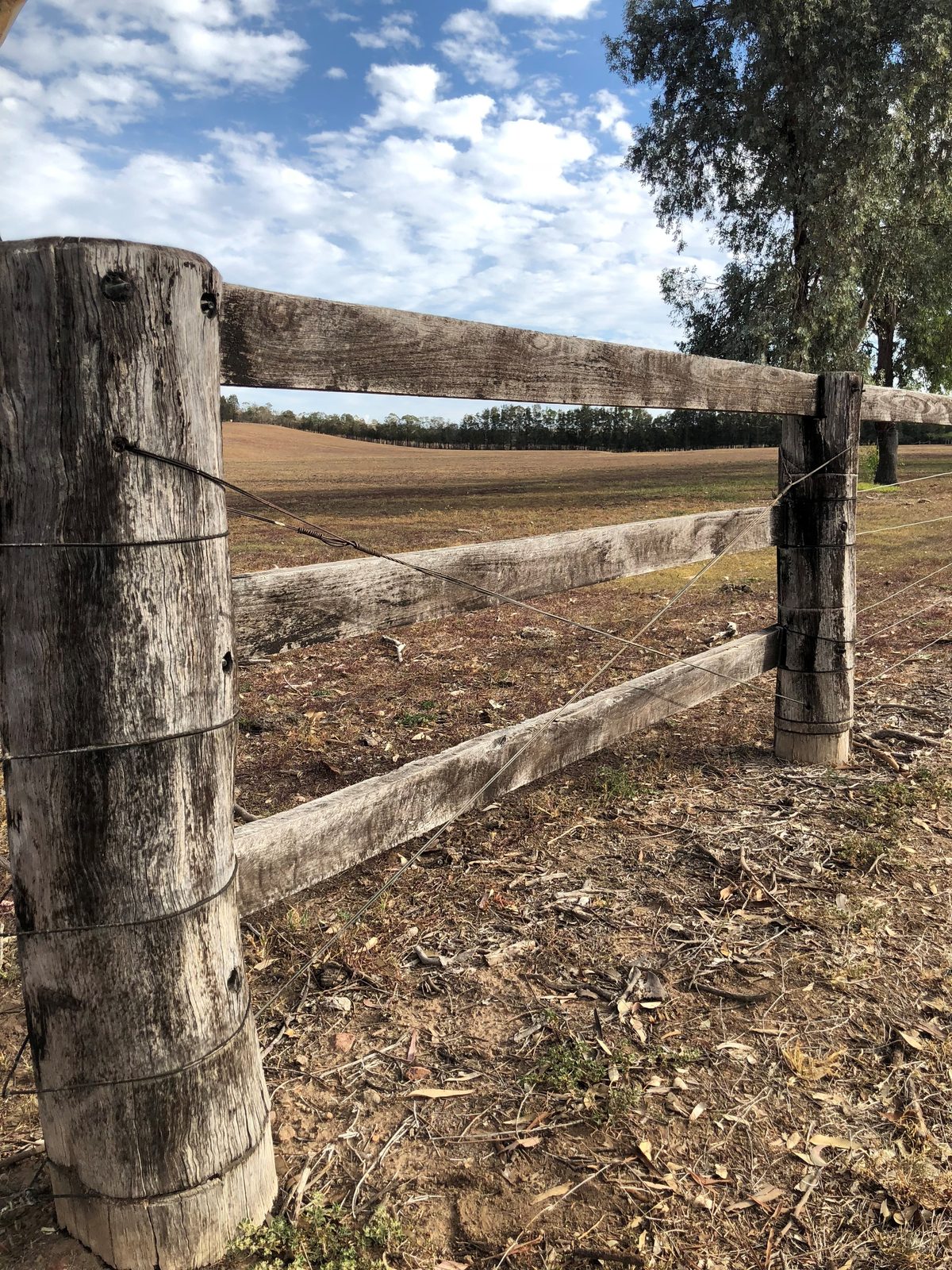 A 30-year-old timber post-and-rail joint and cross-brace, still standing in good condition