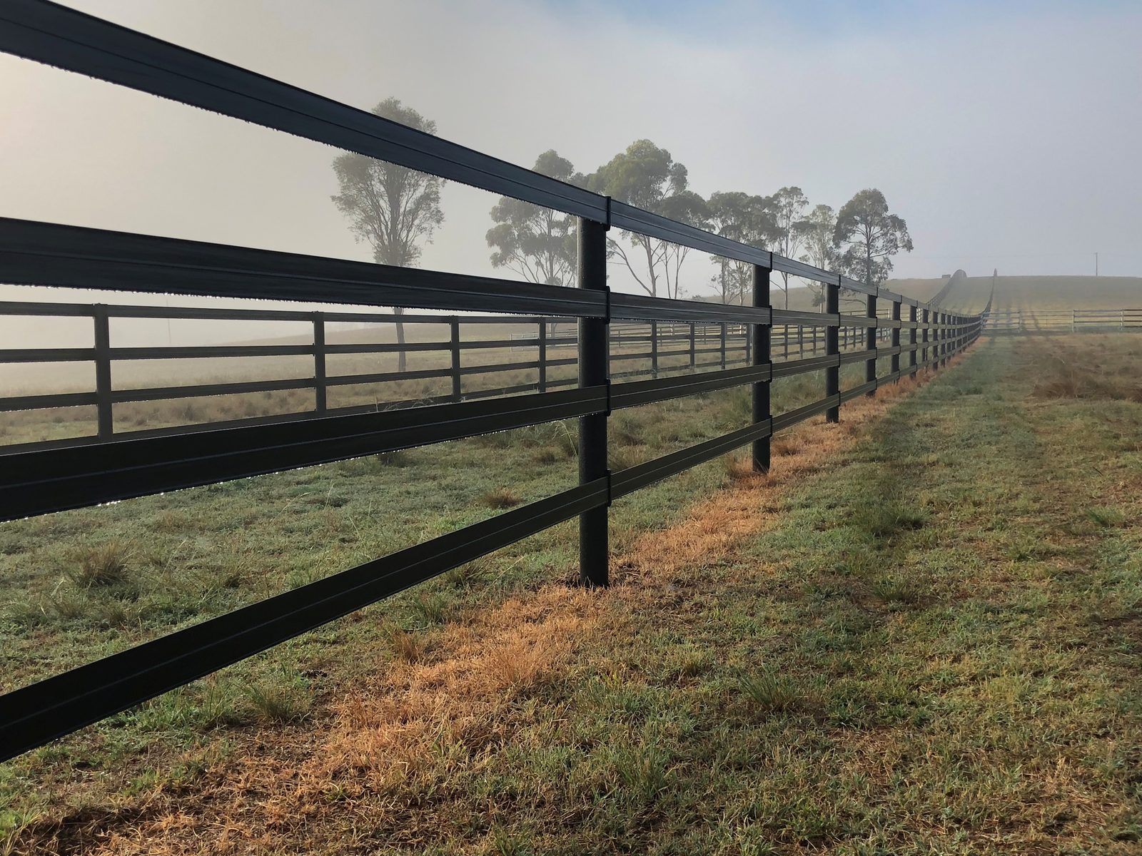 Post-and-rail composite fencing at Darley's Woodlands Stud on a foggy morning