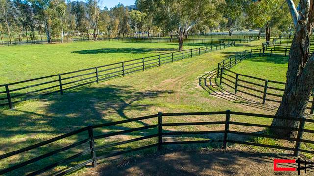Curved fence line, low angle